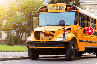 Bus Transportation